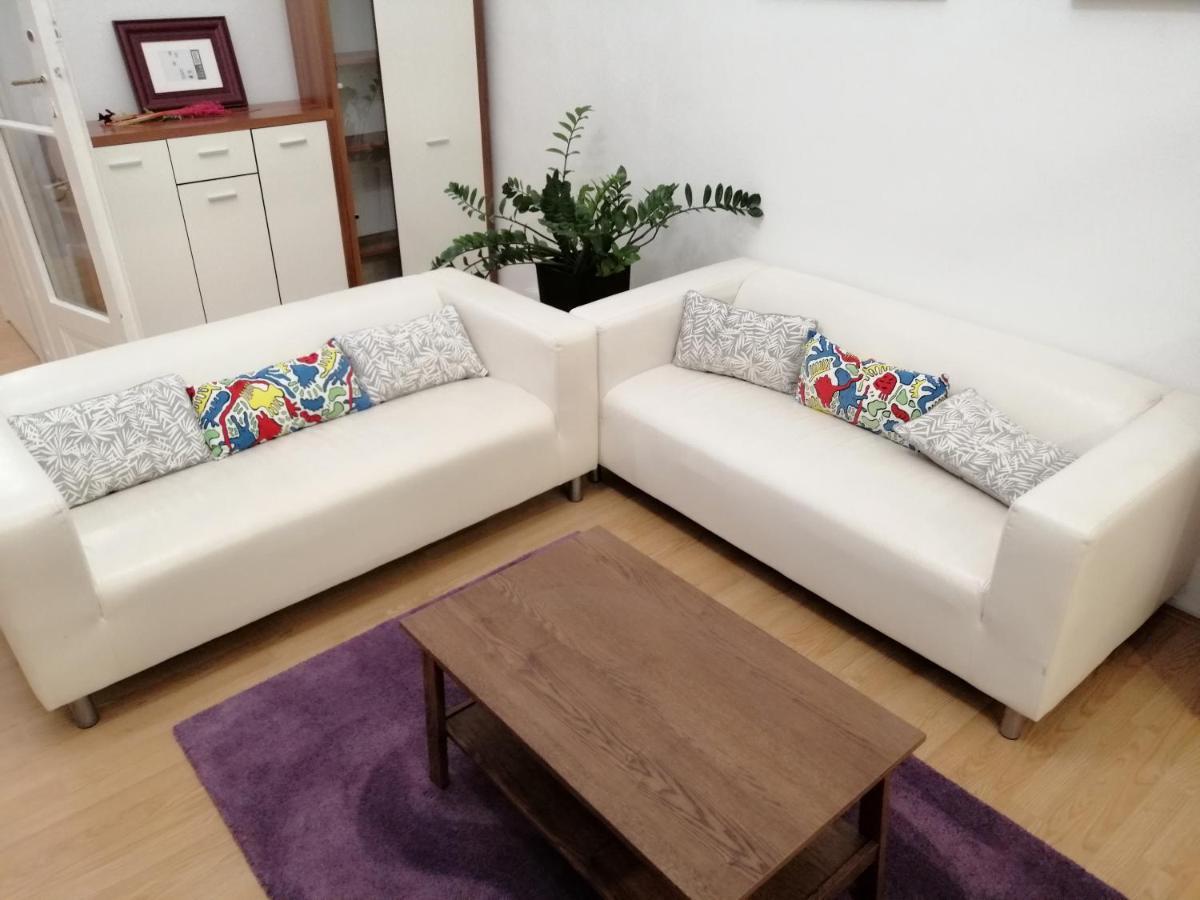 Filinhome Zmaj Jovina Suite 诺威萨 外观 照片